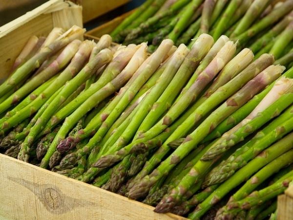 Can chickens eat asparagus?