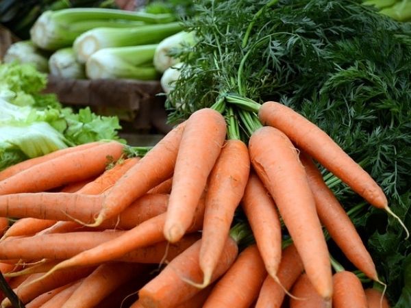 How much carrots should hens eat?