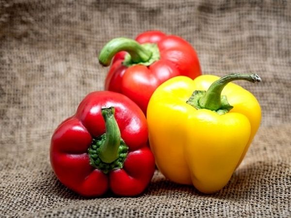 How many bell peppers can chickens eat?
